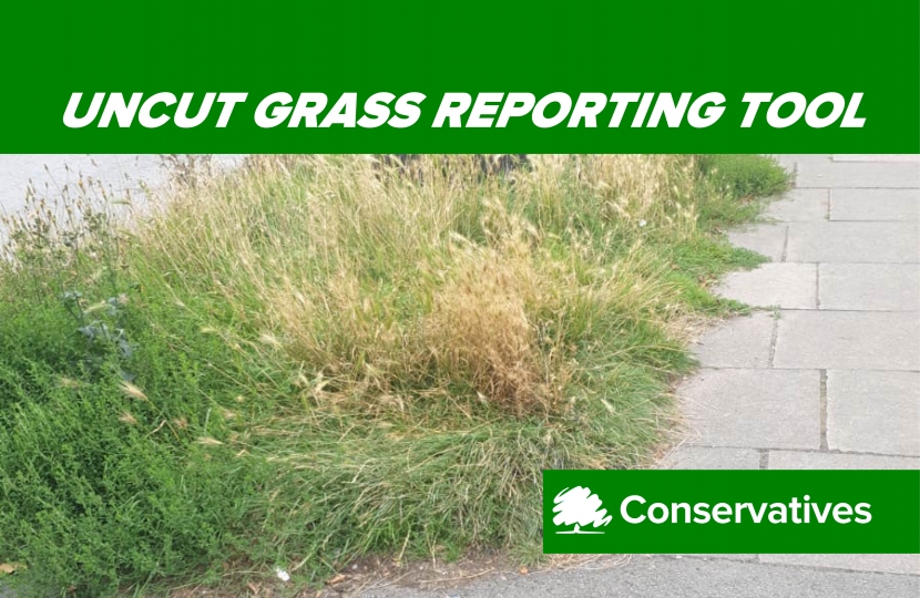 Uncut Grass Reporting Tool